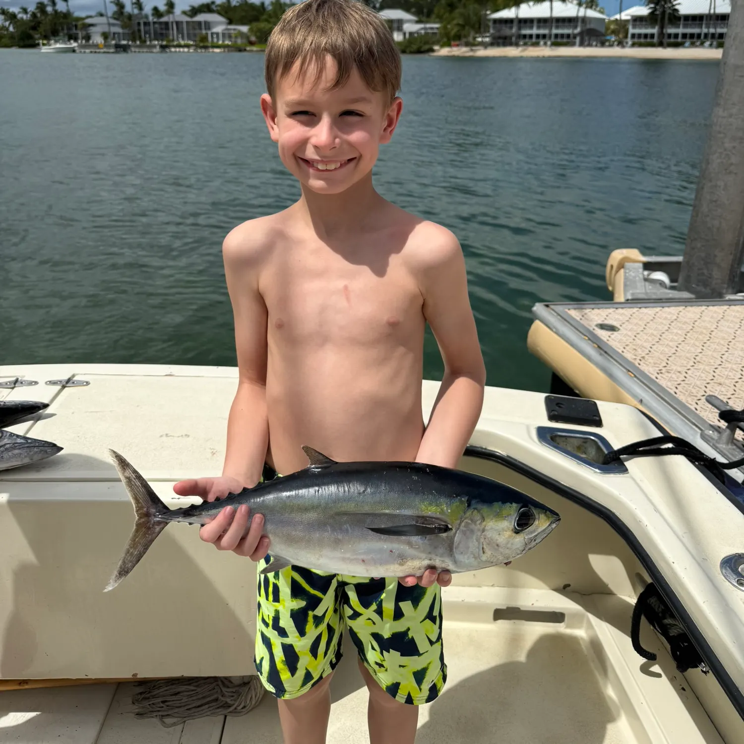 The most recent Yellowfin tuna catches on Fishbrain