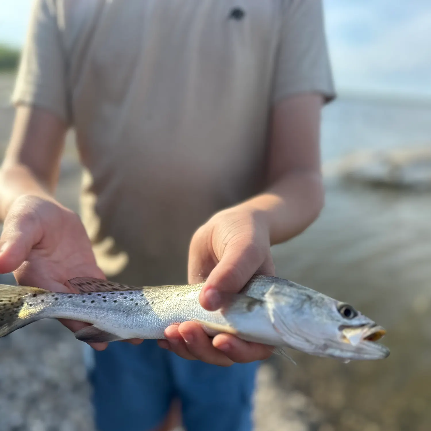 The most recent Spotted seatrout catches on Fishbrain