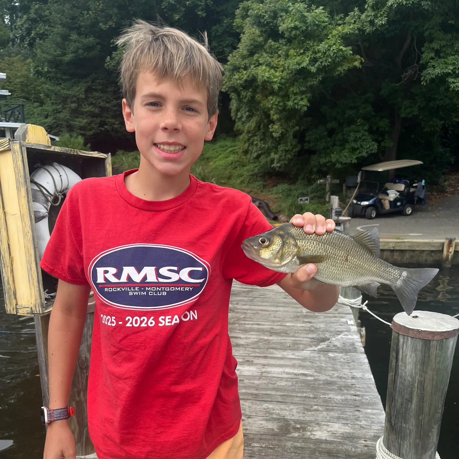 White perch caught on Fishbrain