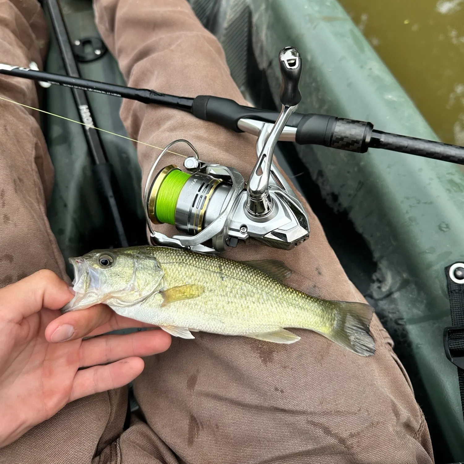 Largemouth bass caught on Fishbrain