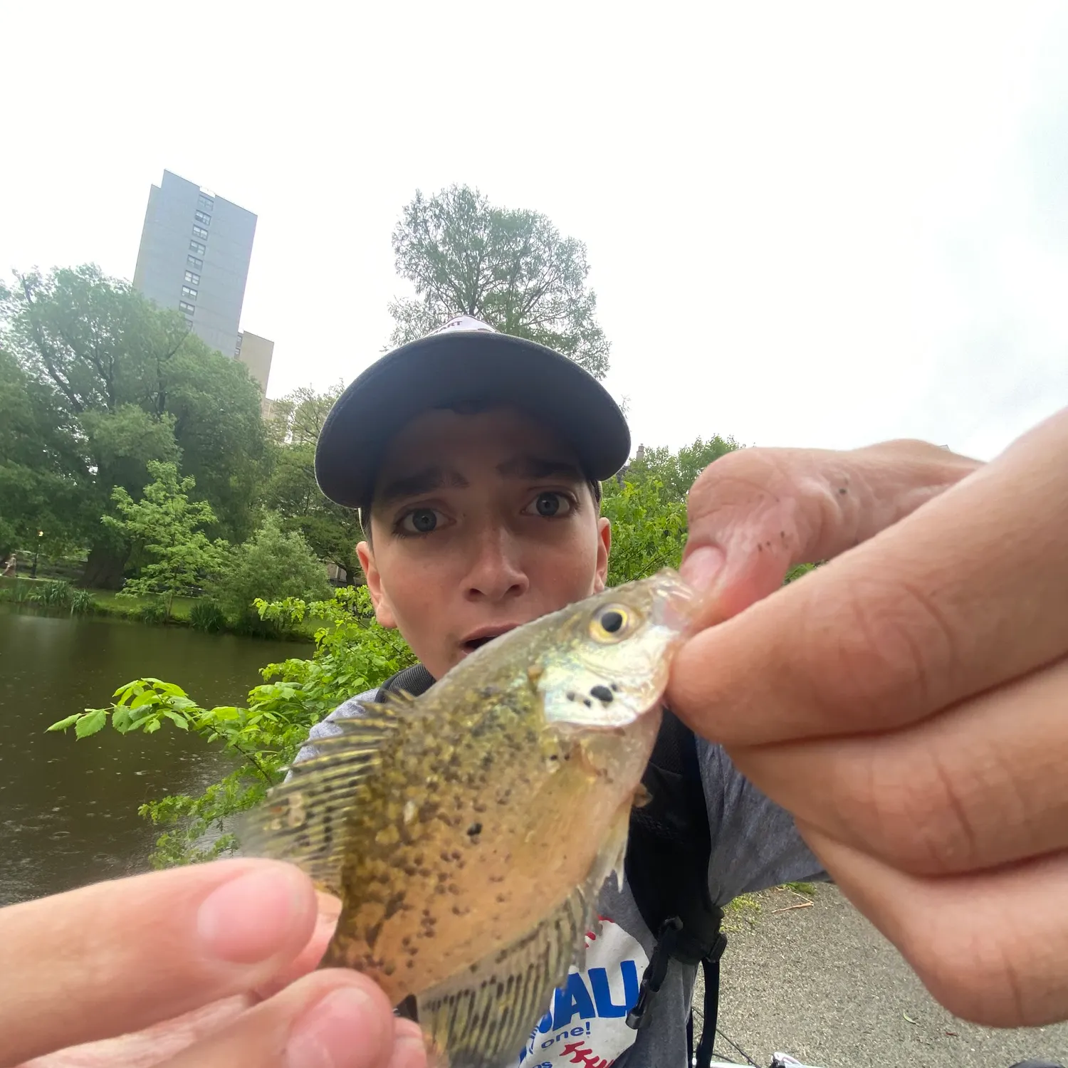 catch
