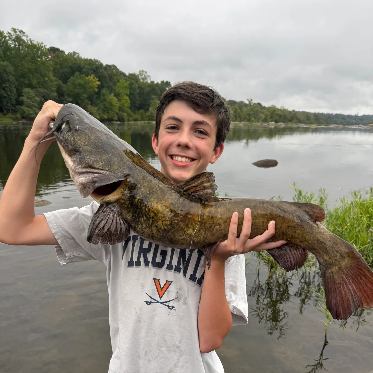 Flathead catfish caught on Fishbrain