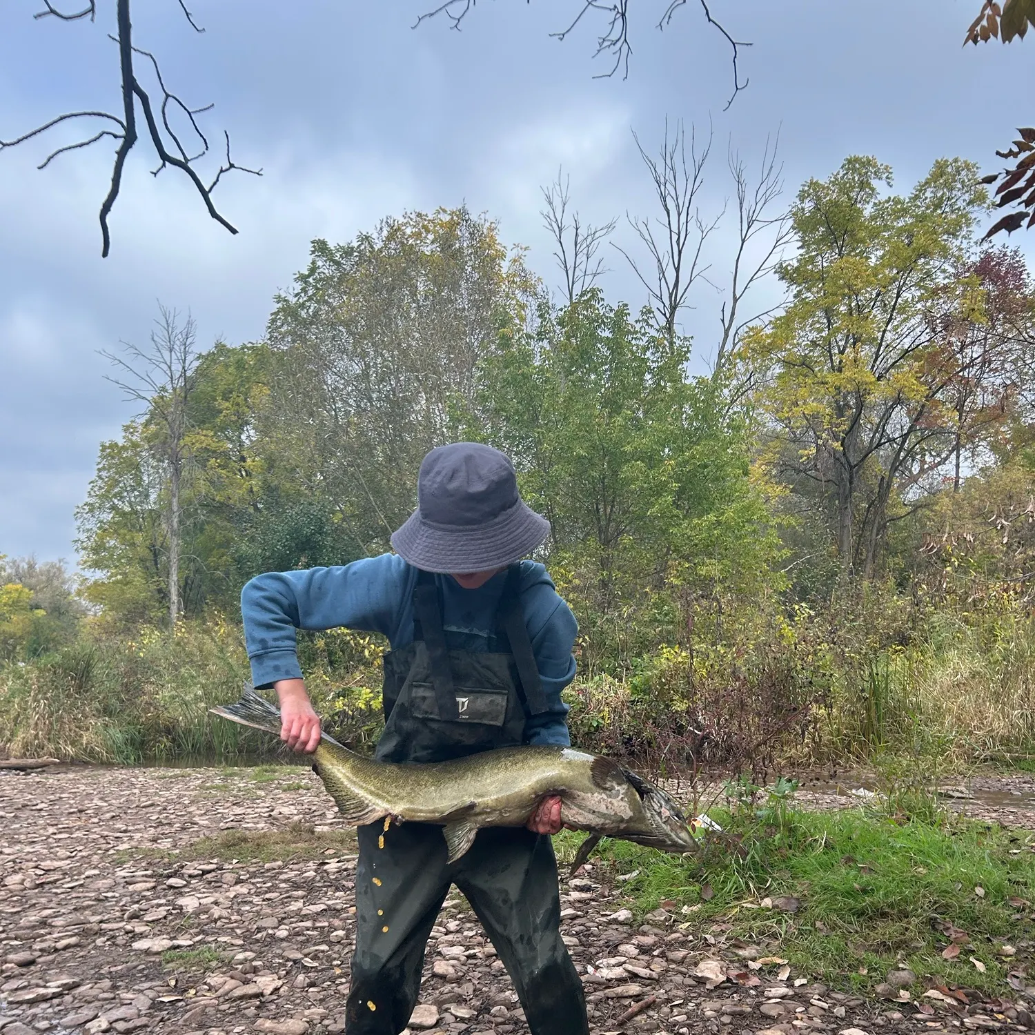 Chinook salmon caught on Fishbrain