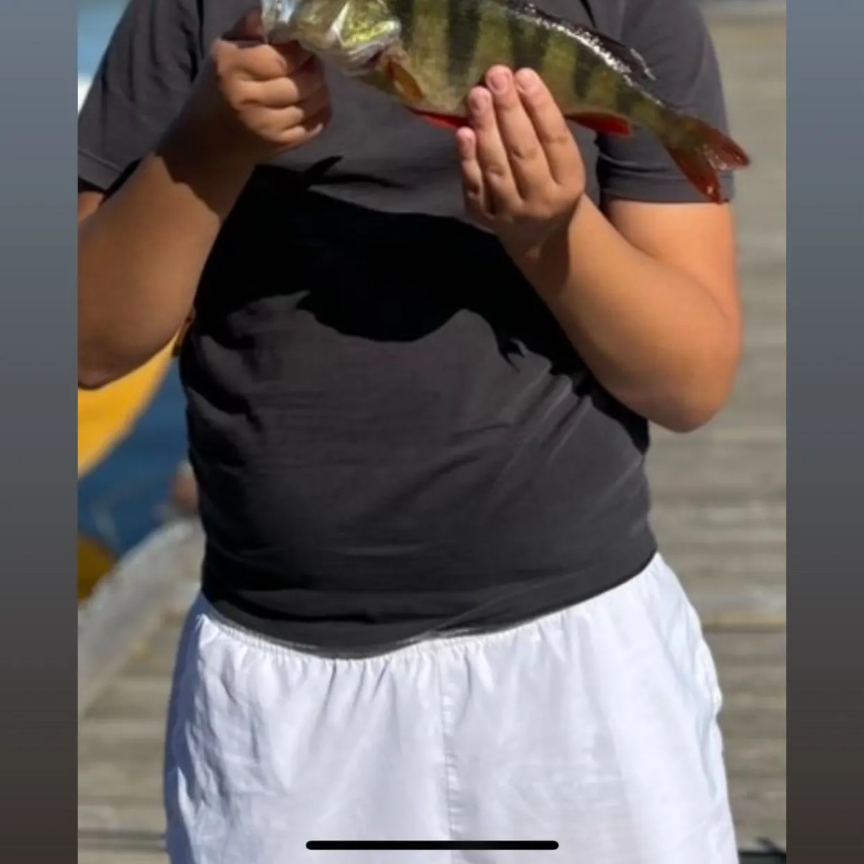 The most recent European perch catches on Fishbrain