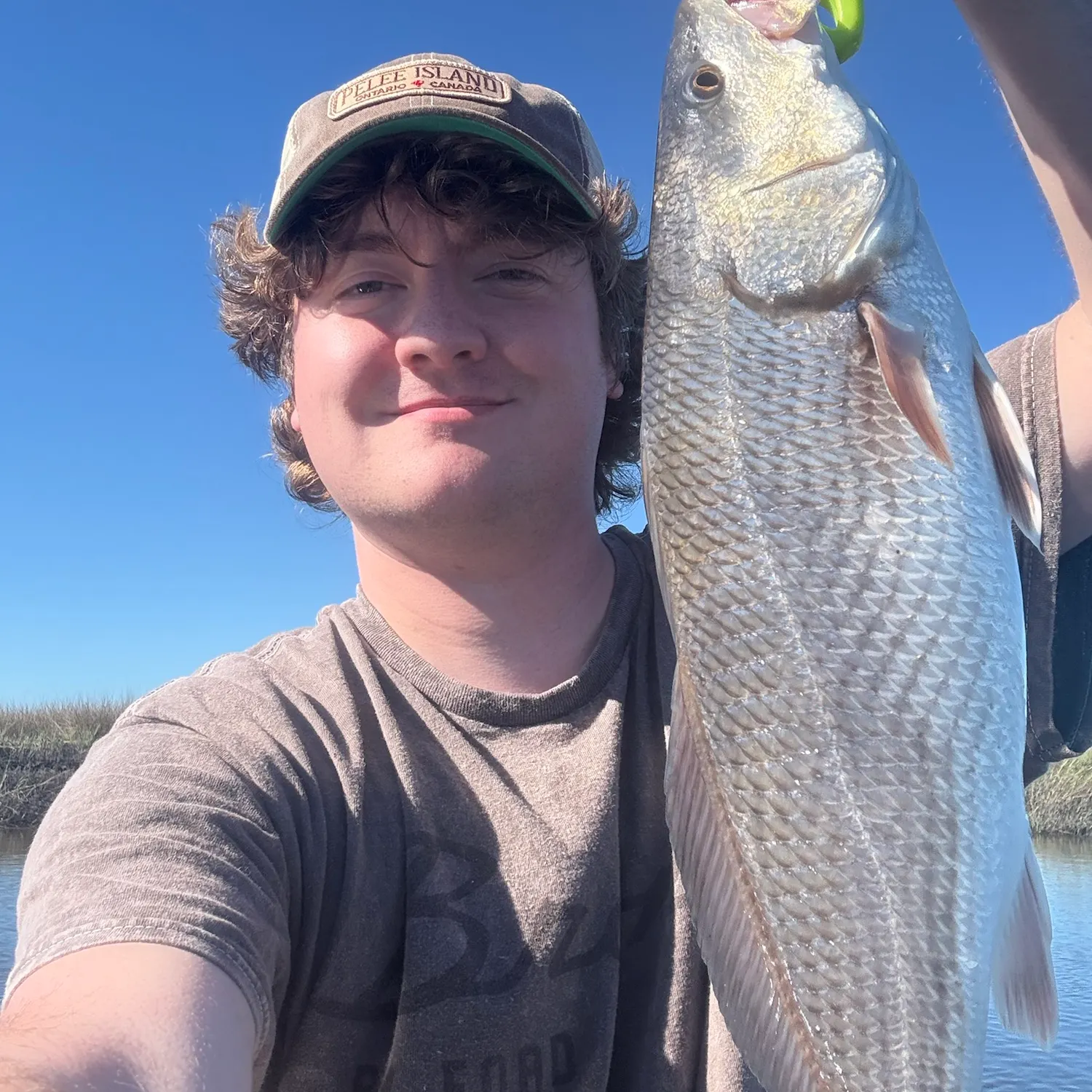 Red drum caught on Fishbrain