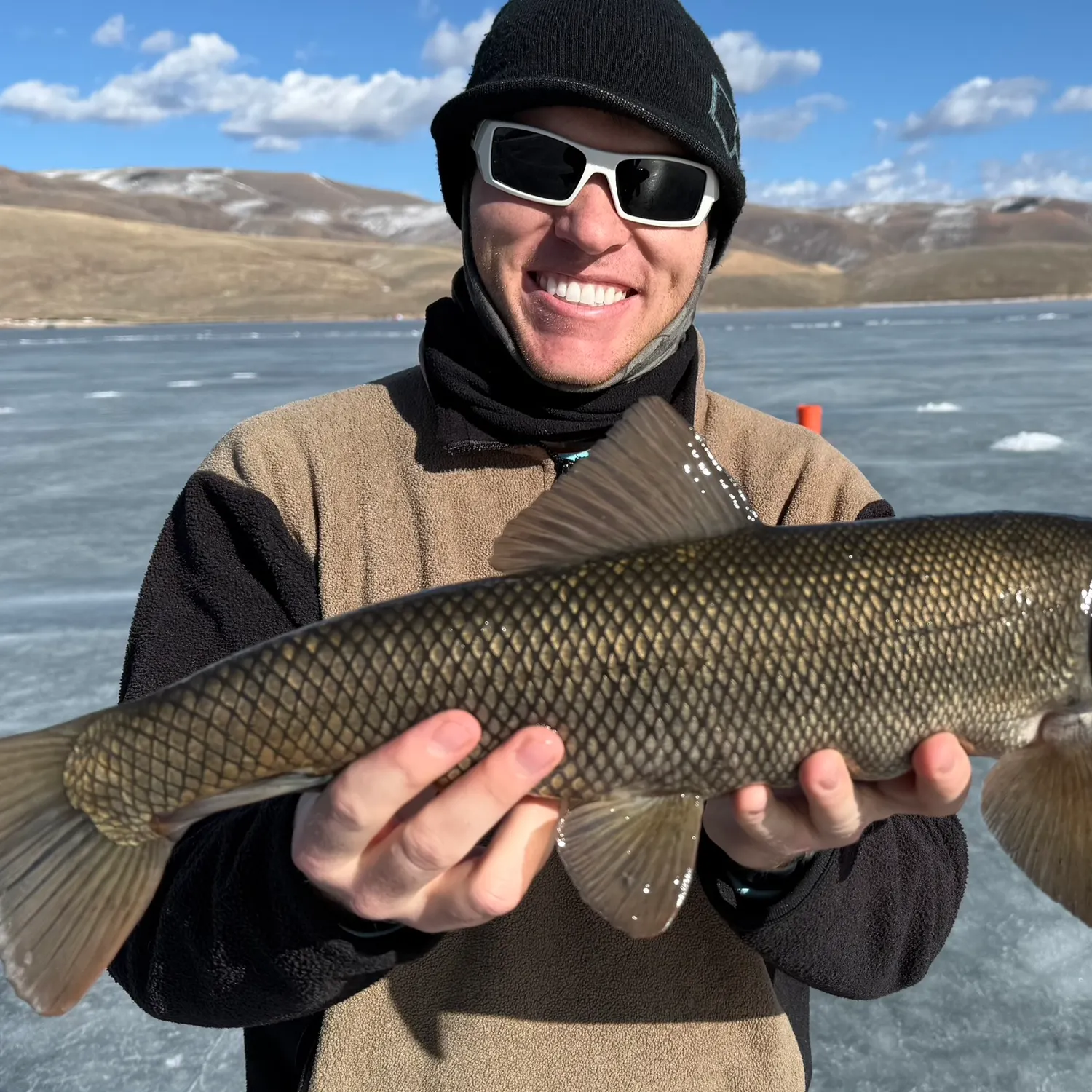 The most recent Utah sucker catches on Fishbrain