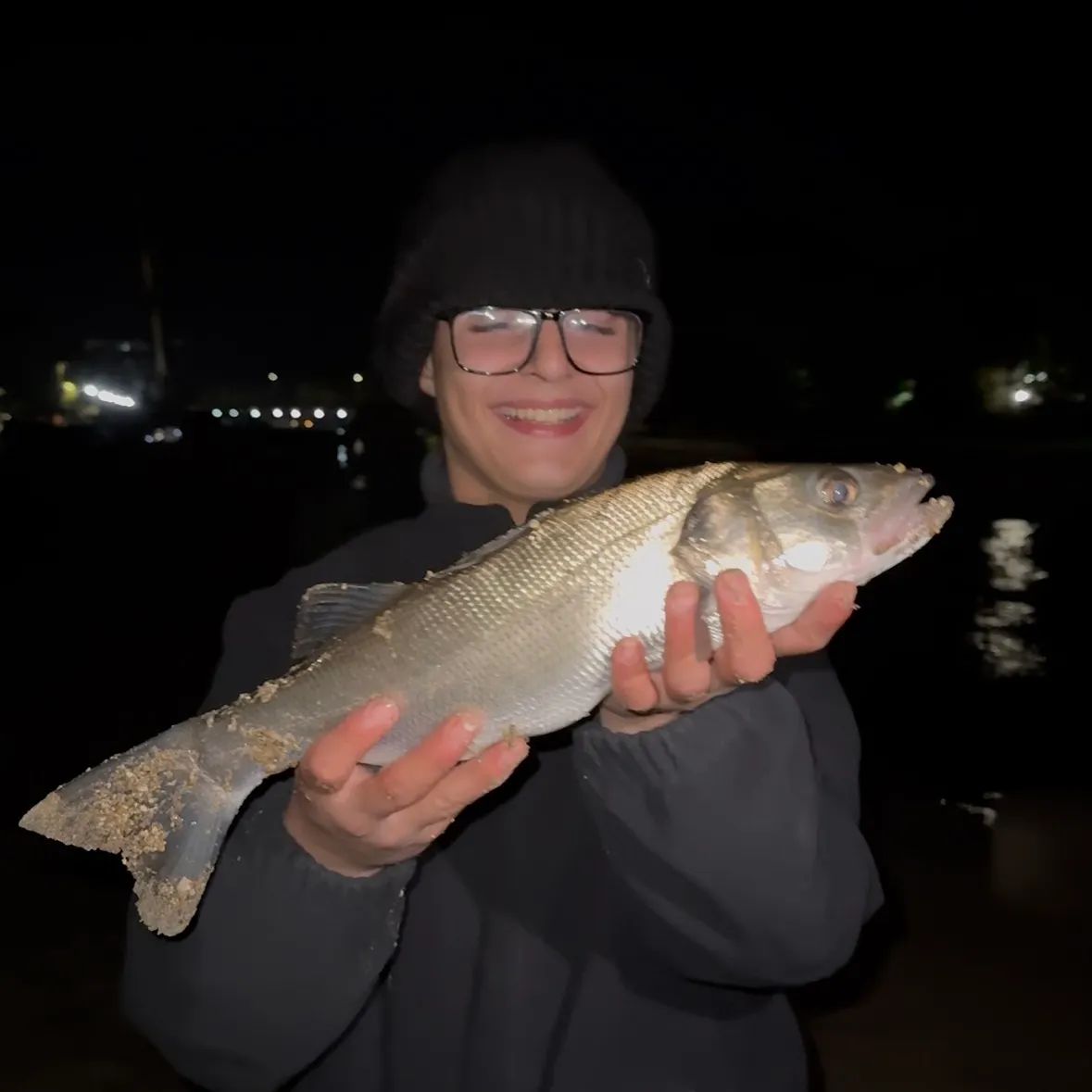 The most recent European seabass catches on Fishbrain