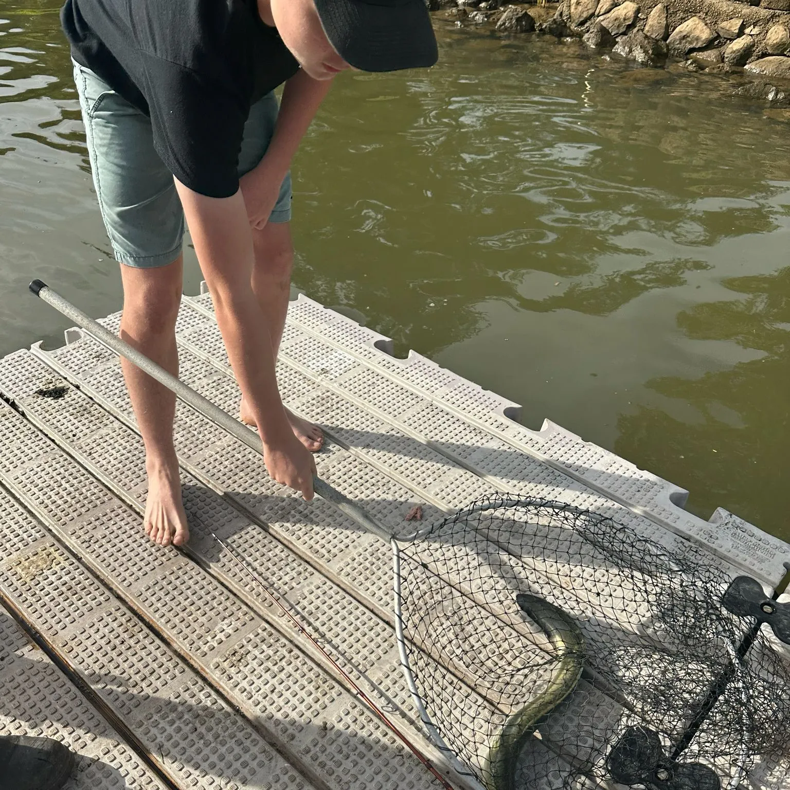 The most recent Speckled longfin eel catches on Fishbrain