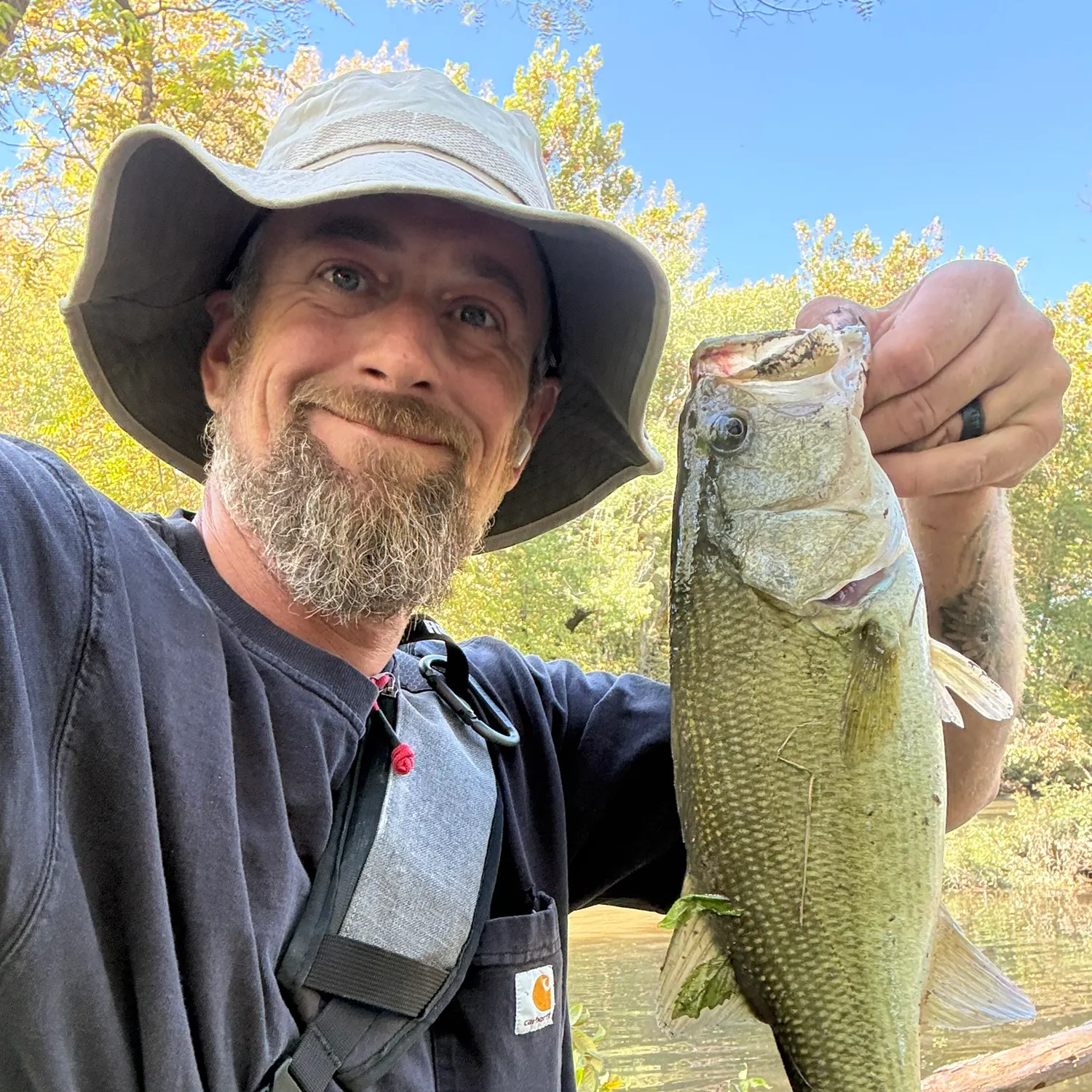 Largemouth bass caught on Fishbrain
