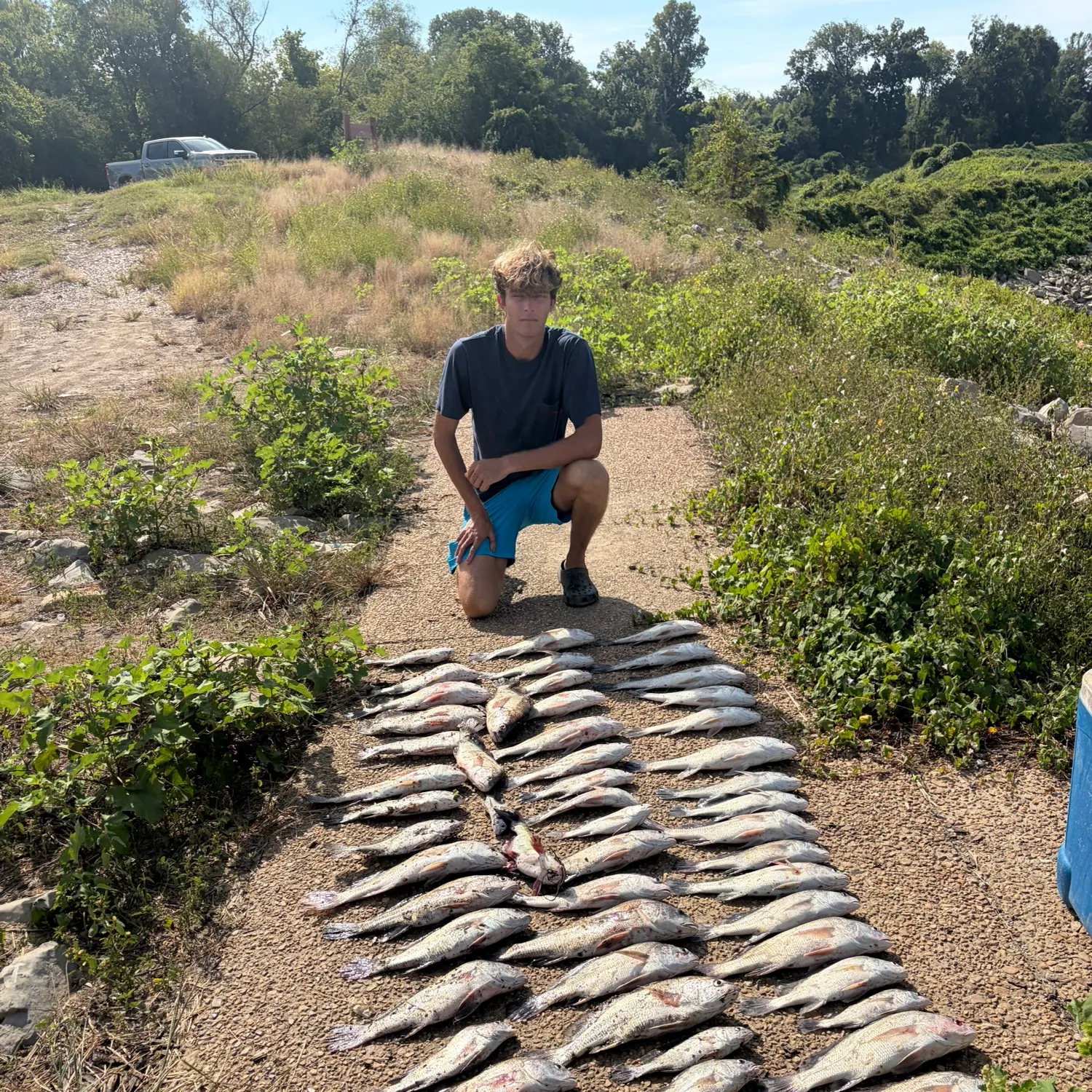 Freshwater drum caught on Fishbrain