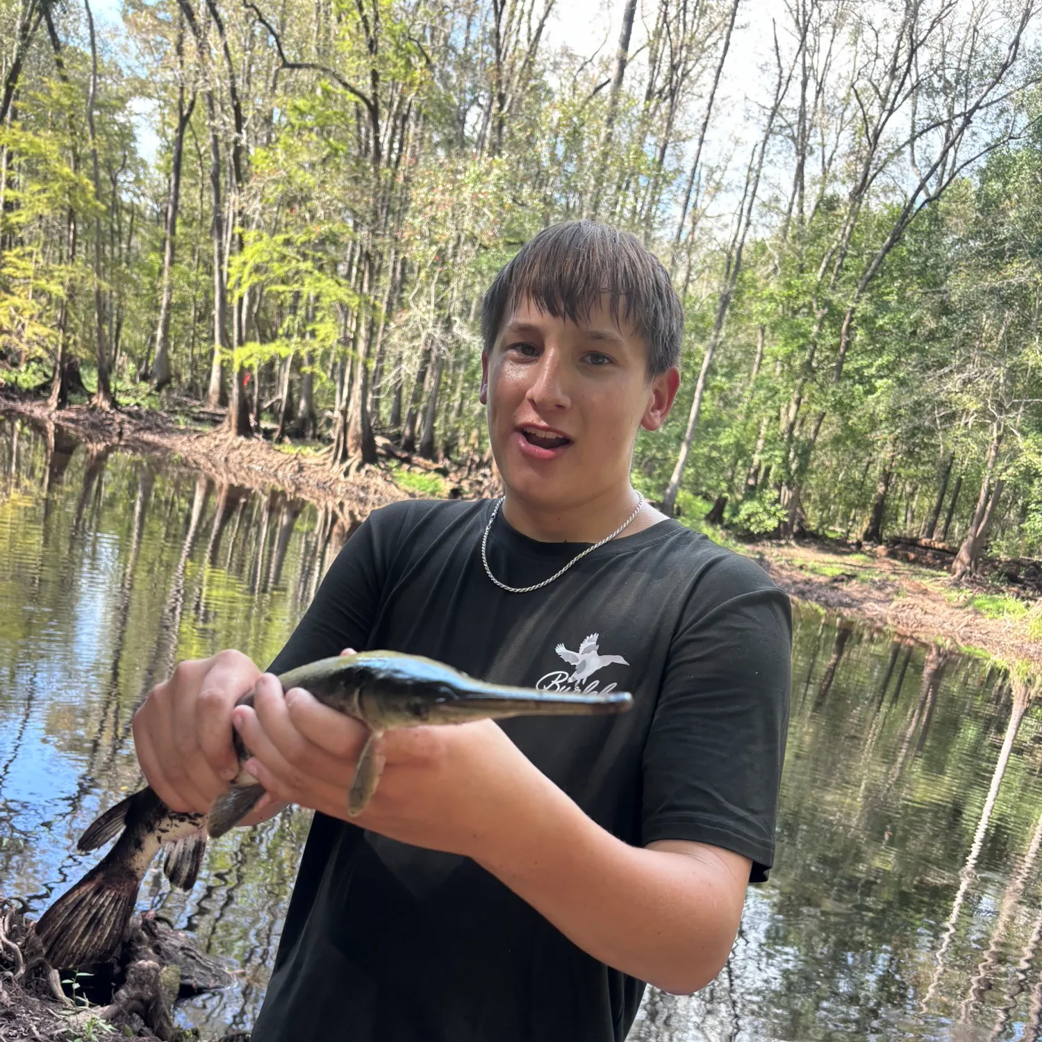 Longnose gar caught on Fishbrain