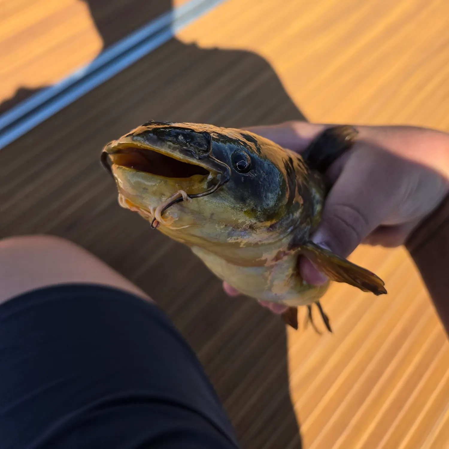 catch