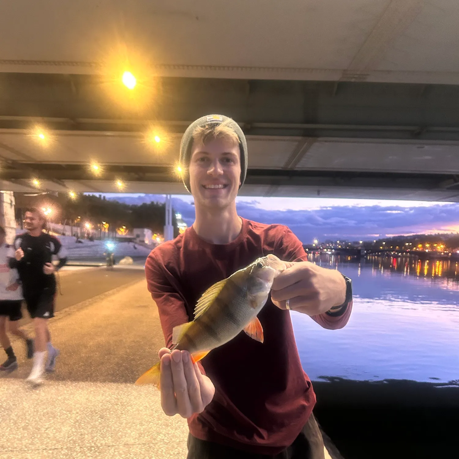 European perch caught on Fishbrain