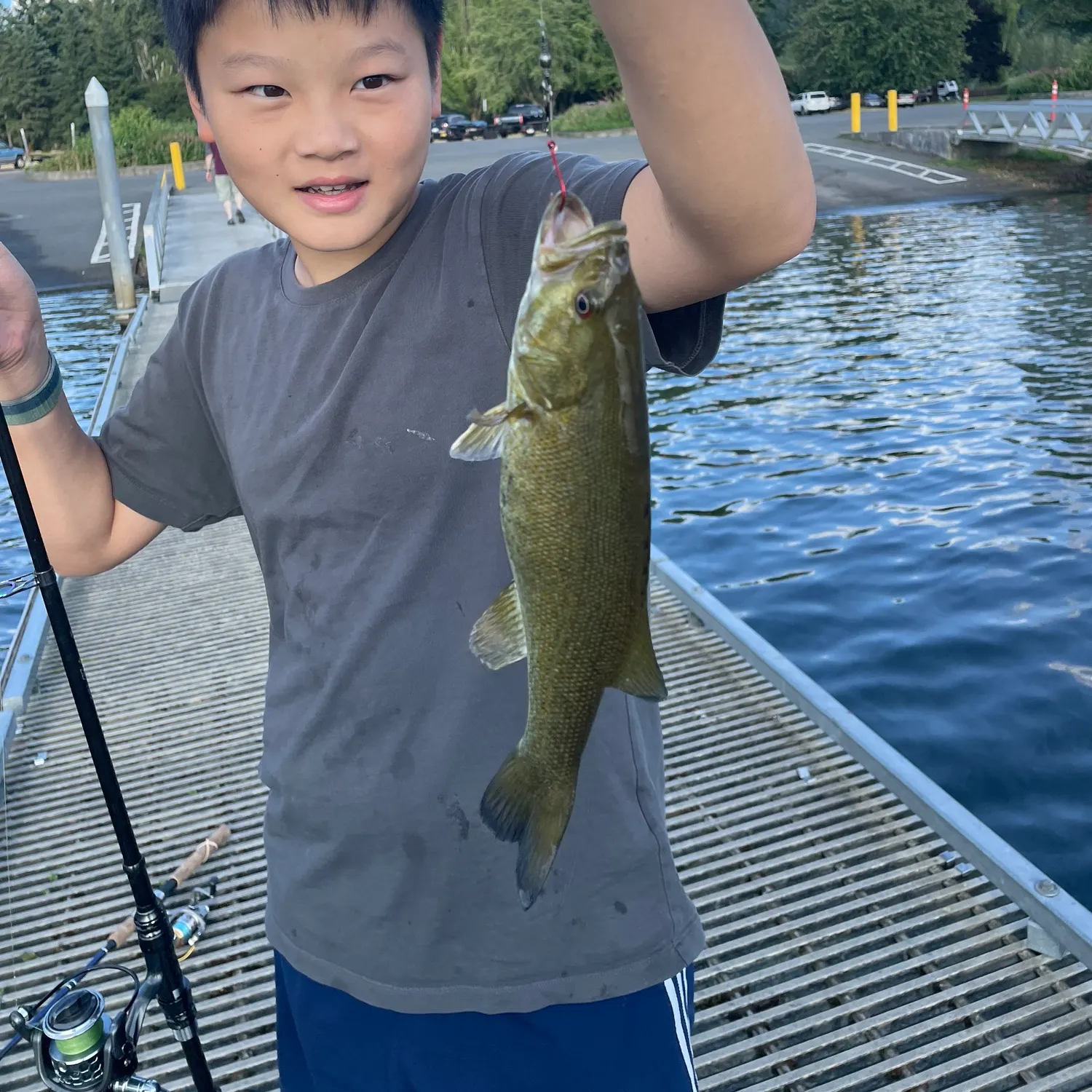 The most recent Smallmouth bass catches on Fishbrain