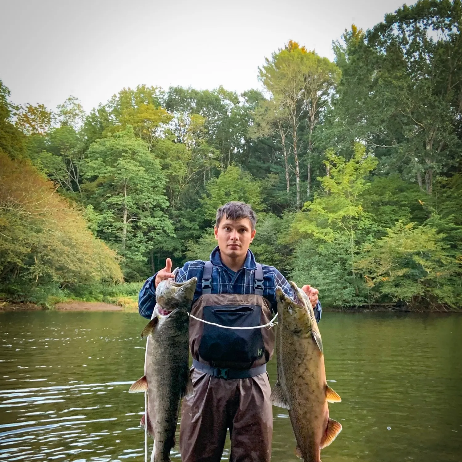 most liked catch image