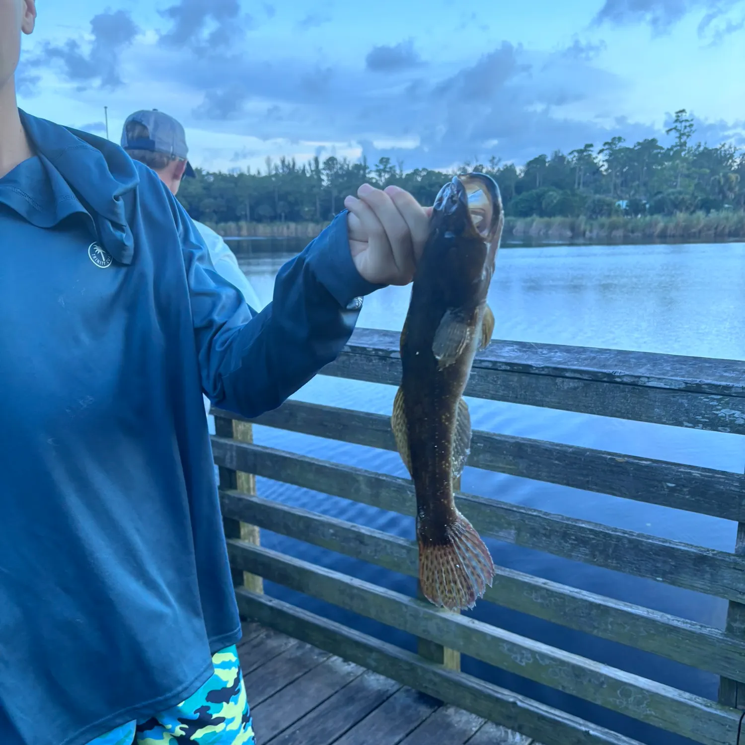 The most recent Bigmouth sleeper catches on Fishbrain