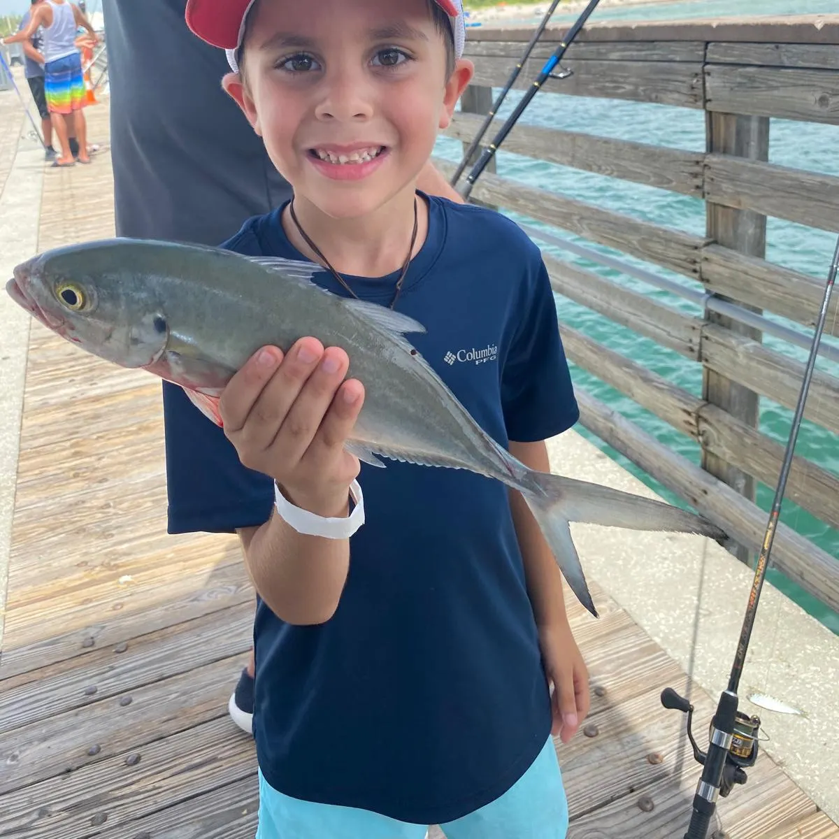 The most recent Blue runner catches on Fishbrain