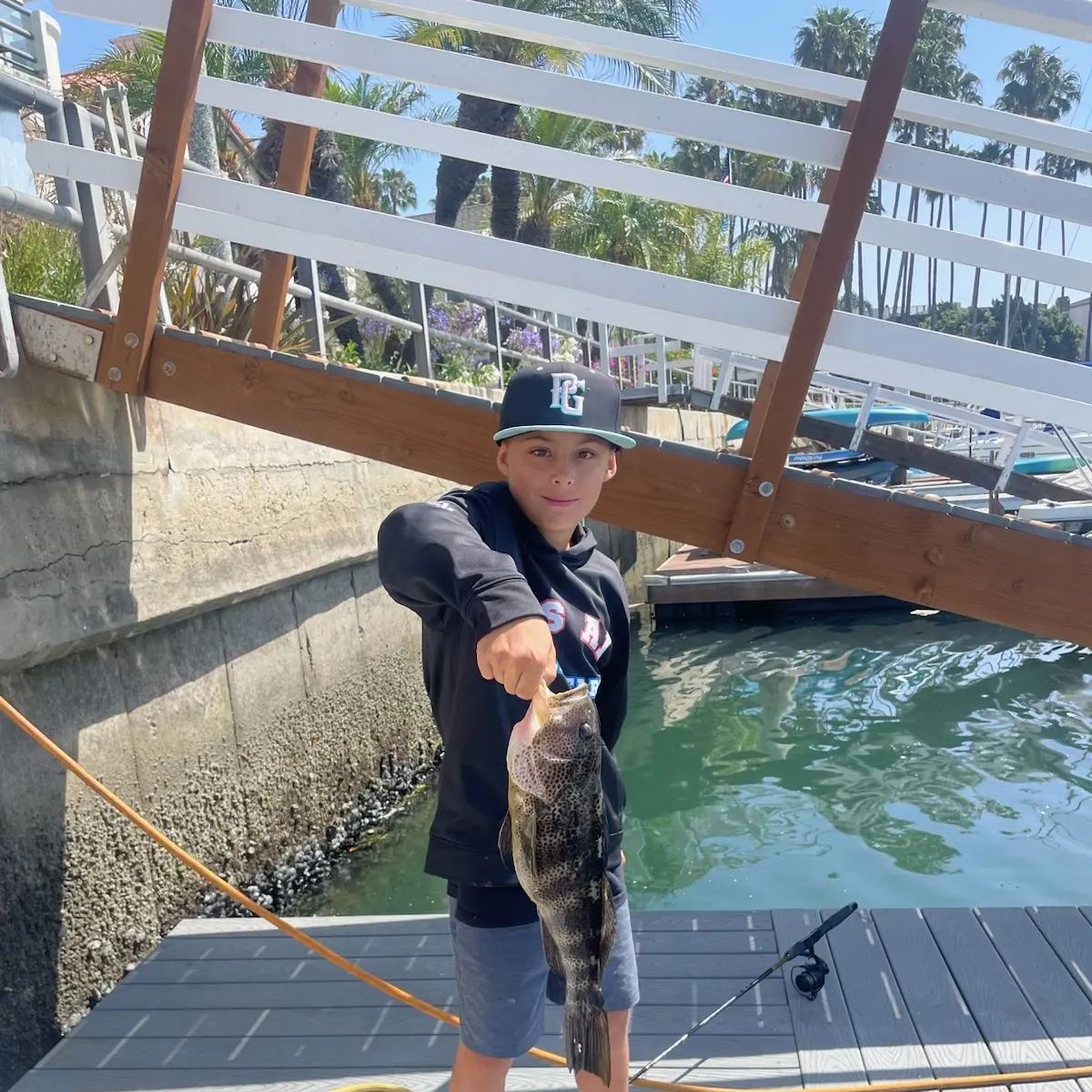 The most recent Barred sand bass catches on Fishbrain