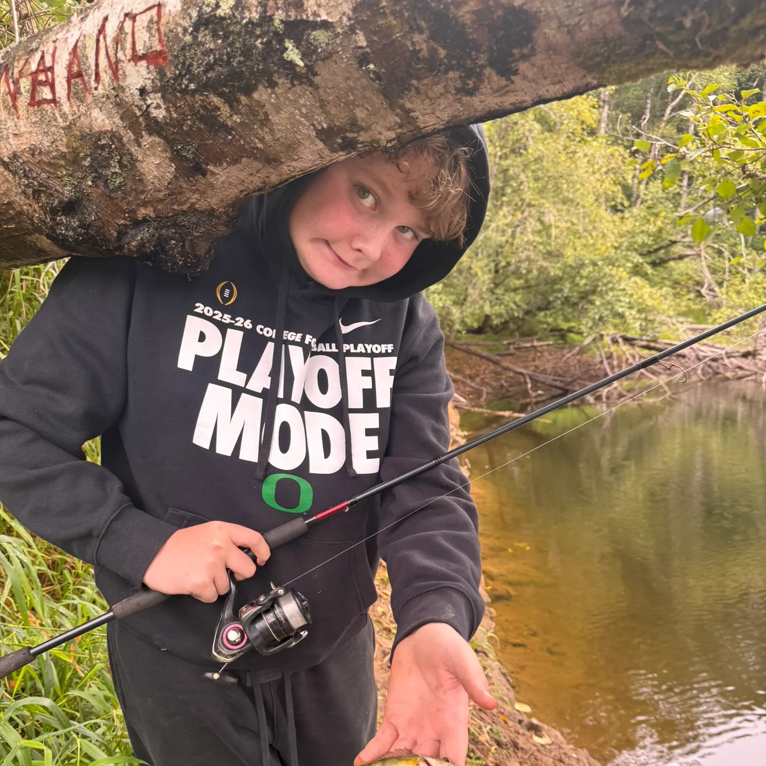 Yellow perch caught on Fishbrain