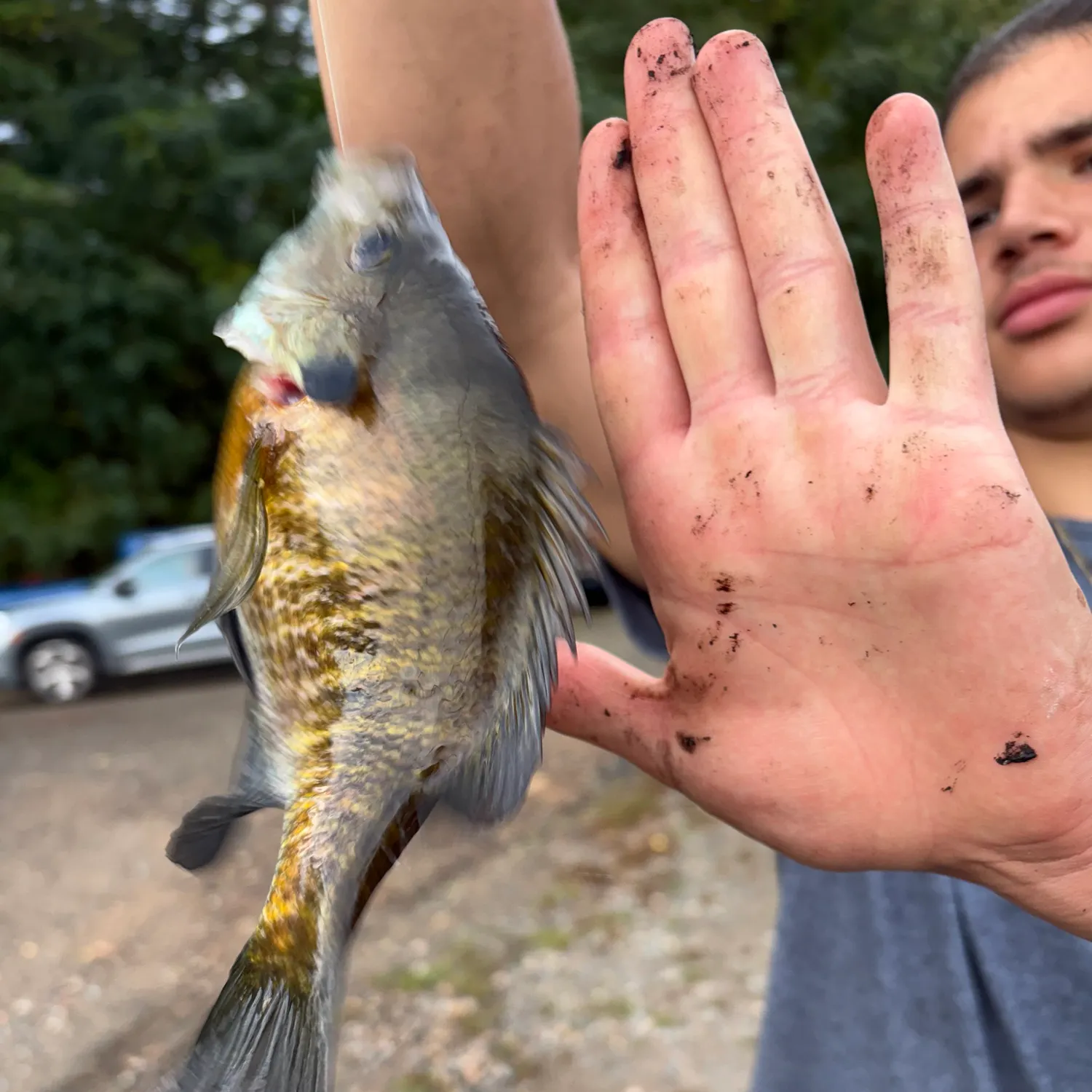 catch