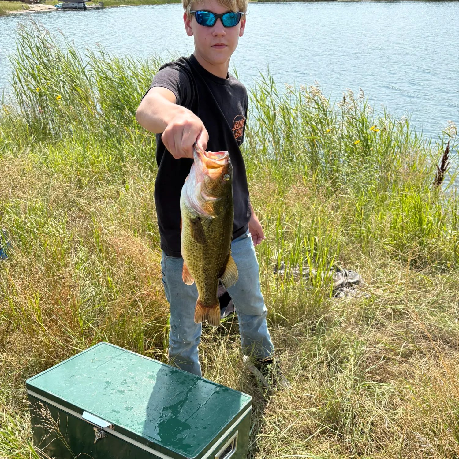 Largemouth bass caught on Fishbrain