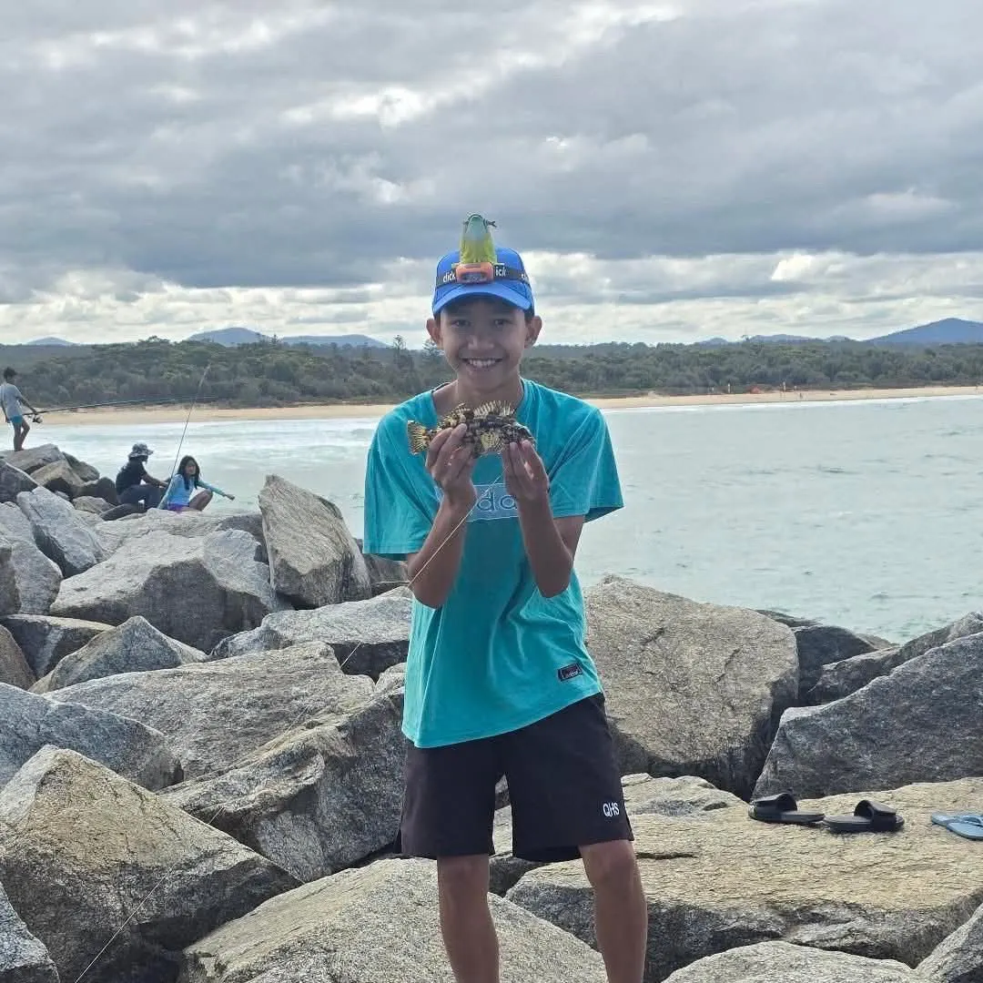 The most recent Eastern kelpfish catches on Fishbrain