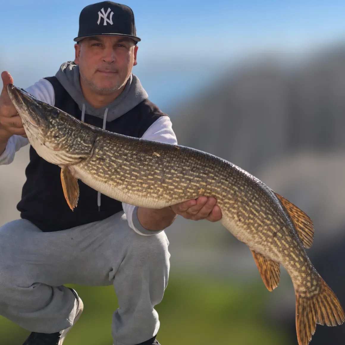 Northern pike caught on Fishbrain