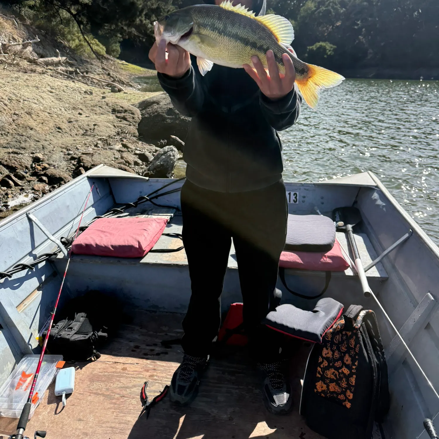 Spotted bass caught on Fishbrain