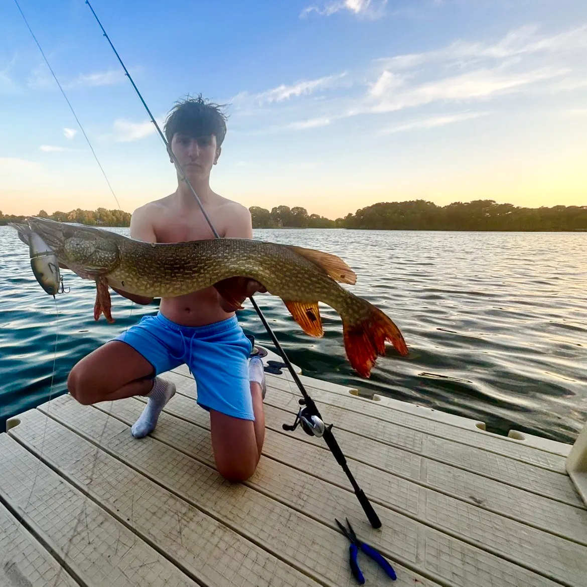Northern pike caught on Fishbrain