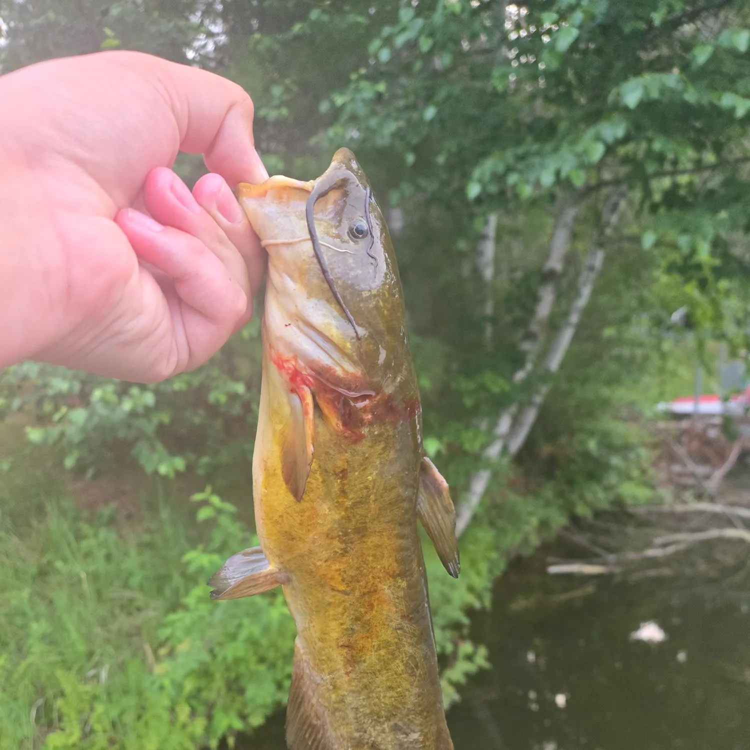 catch