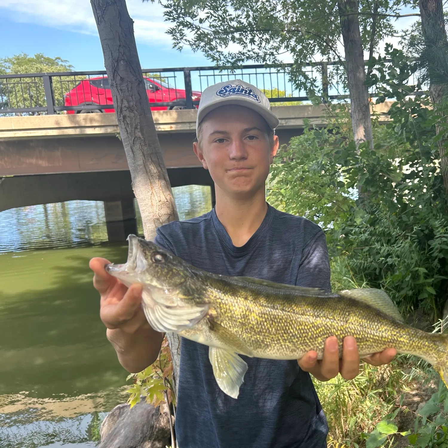 Walleye caught on Fishbrain