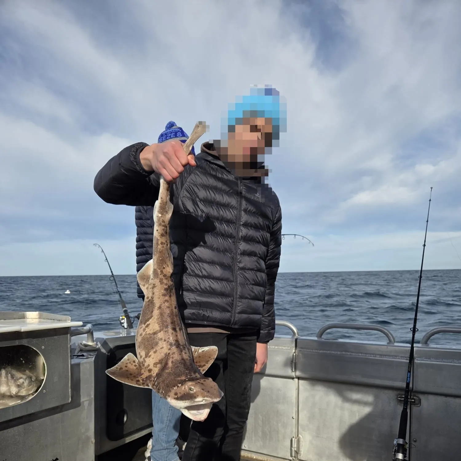 The most recent Swellshark catches on Fishbrain
