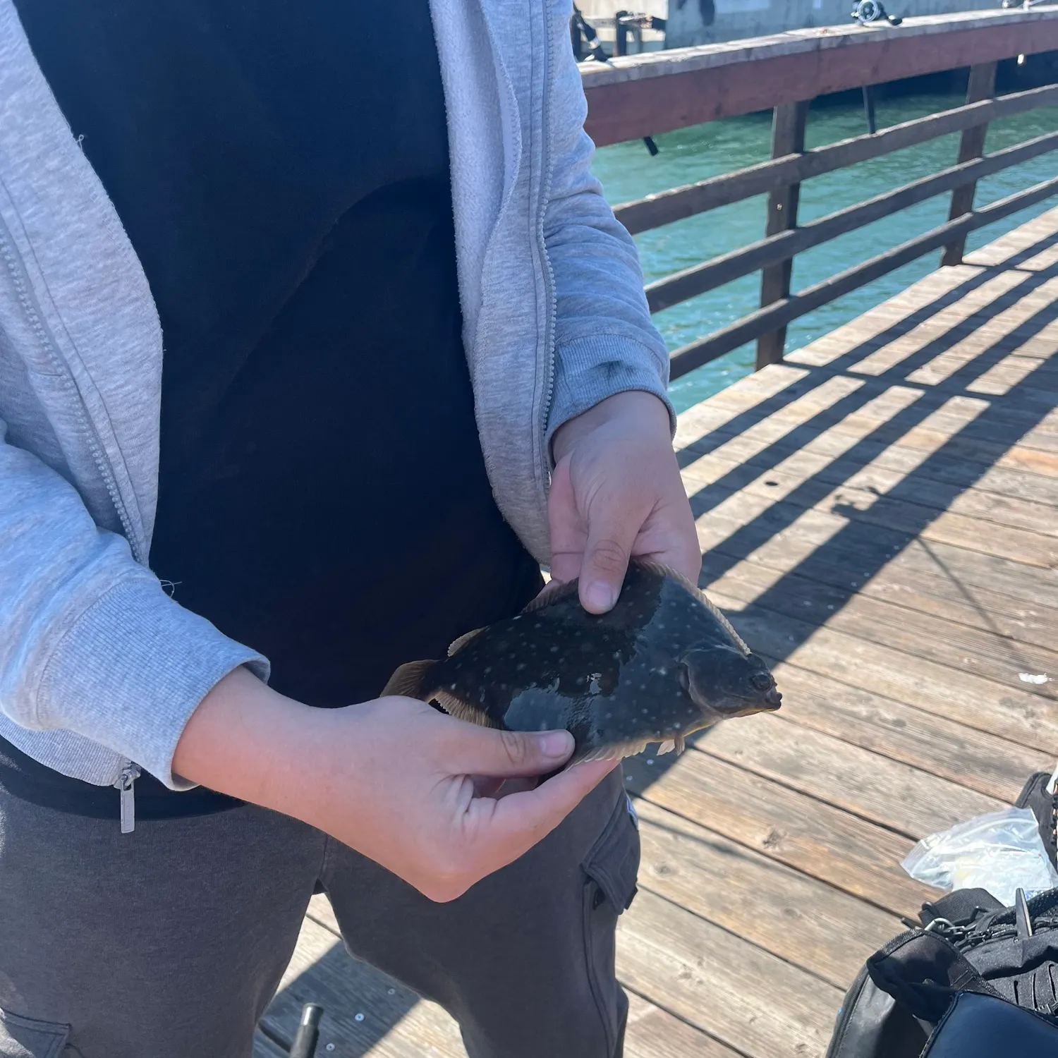 The most recent Diamond turbot catches on Fishbrain