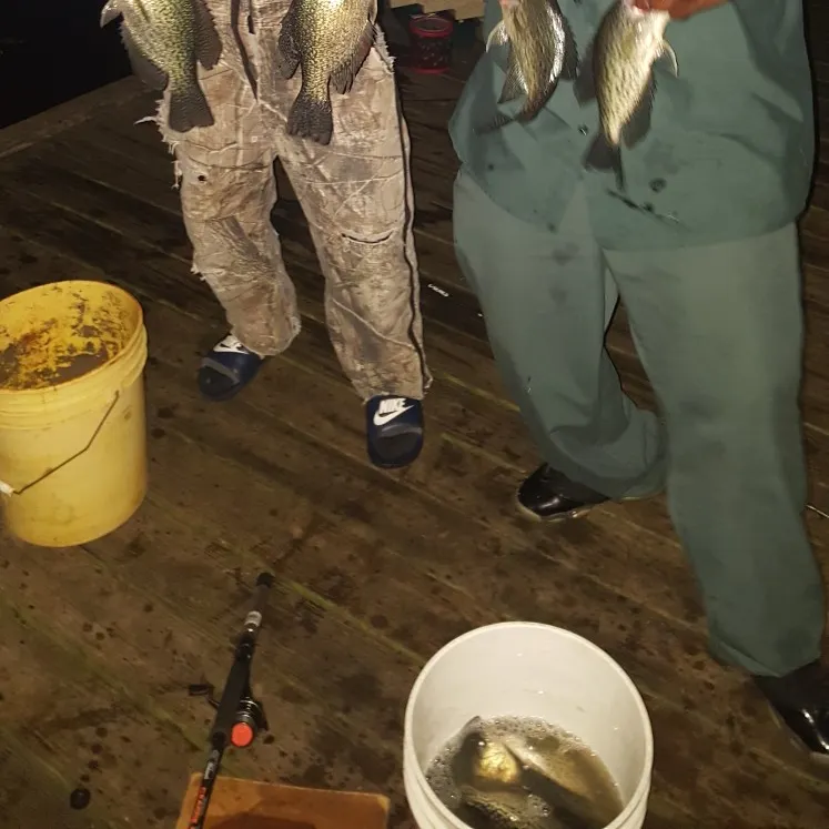 angler catch