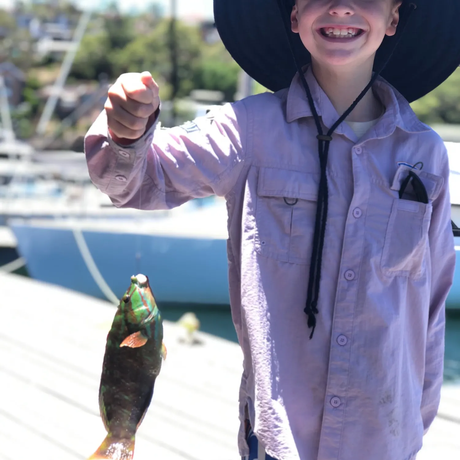 The most recent Surge wrasse catches on Fishbrain