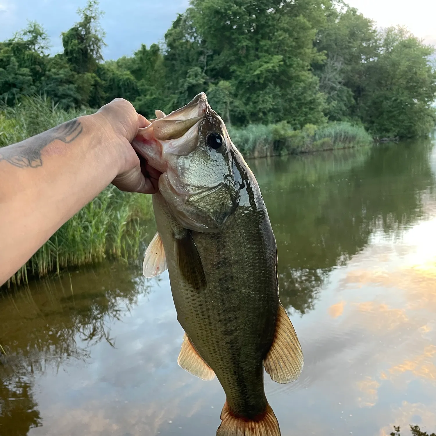 catch