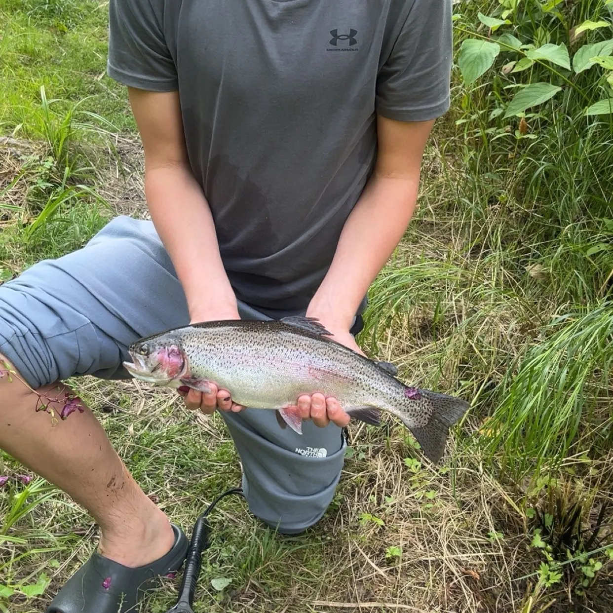 Rainbow trout caught on Fishbrain