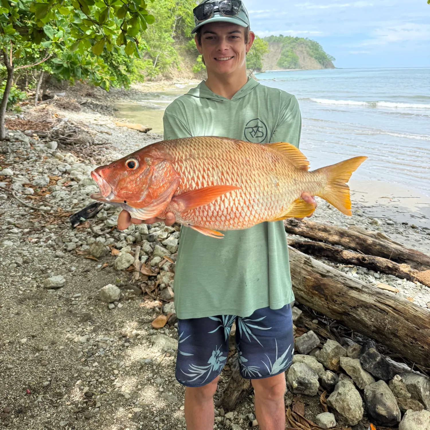 The most recent Dog Snapper catches on Fishbrain