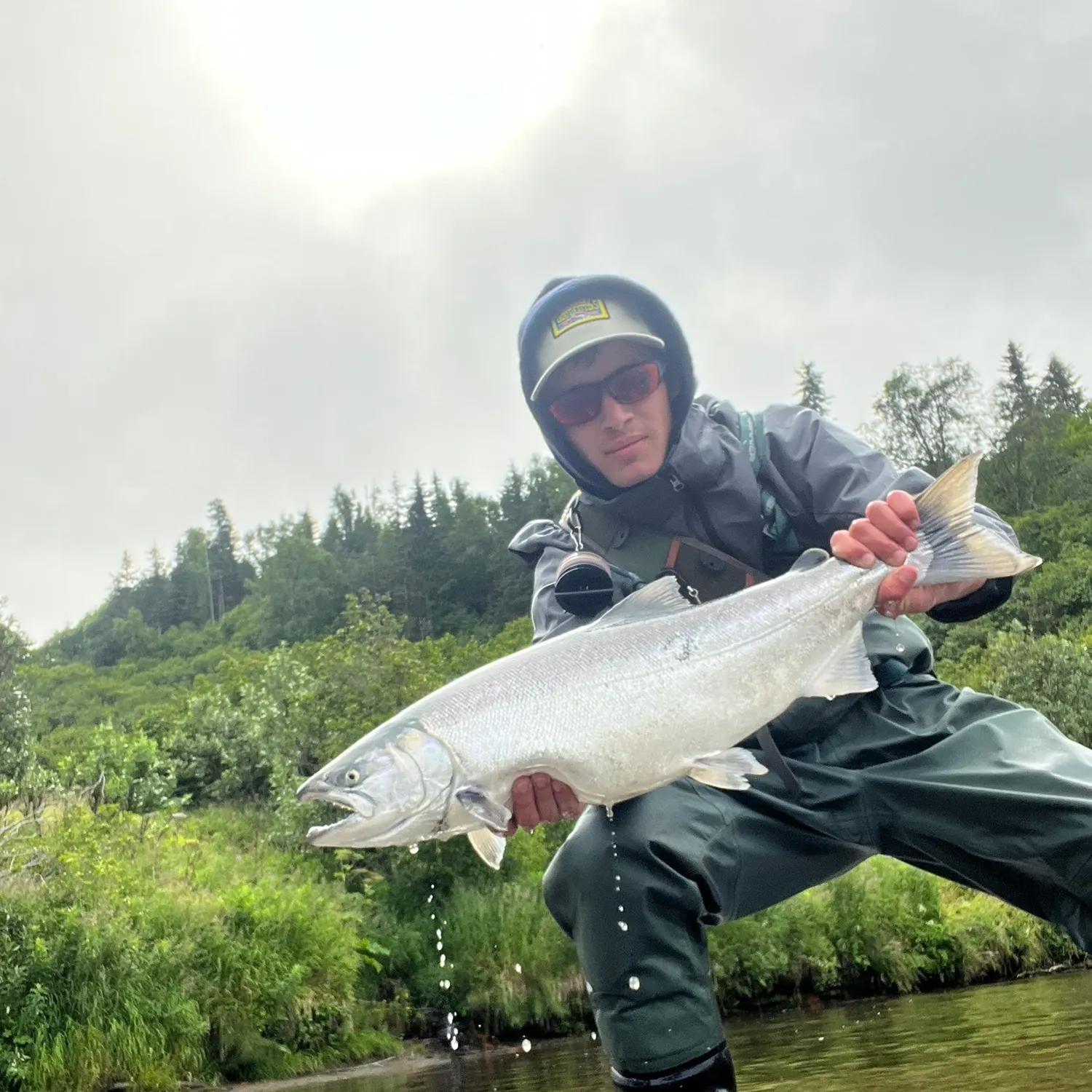 Coho salmon caught on Fishbrain