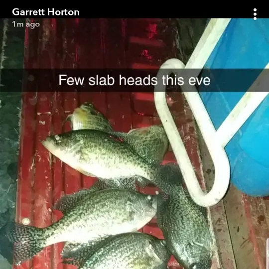 recently logged catches