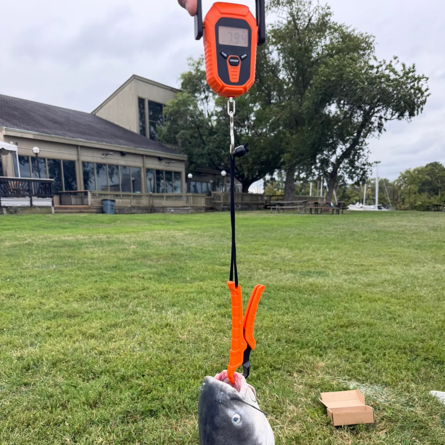 Channel catfish caught on Fishbrain