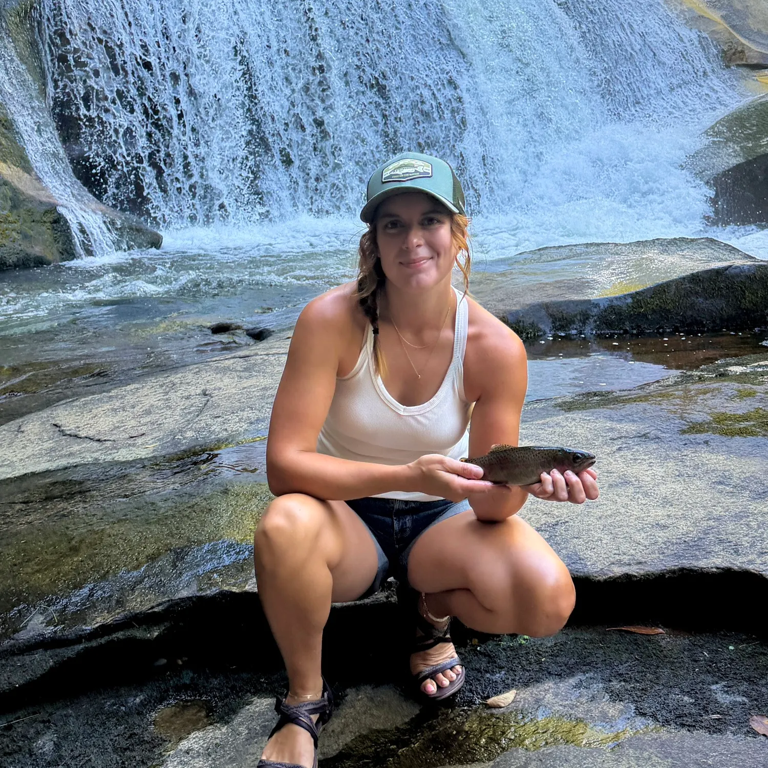Rainbow trout caught on Fishbrain