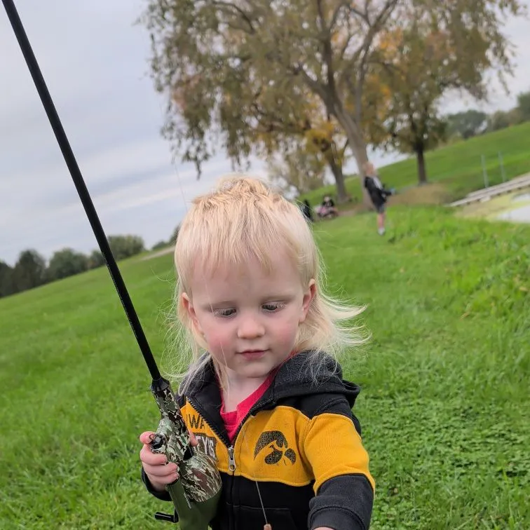Pumpkinseed caught on Fishbrain