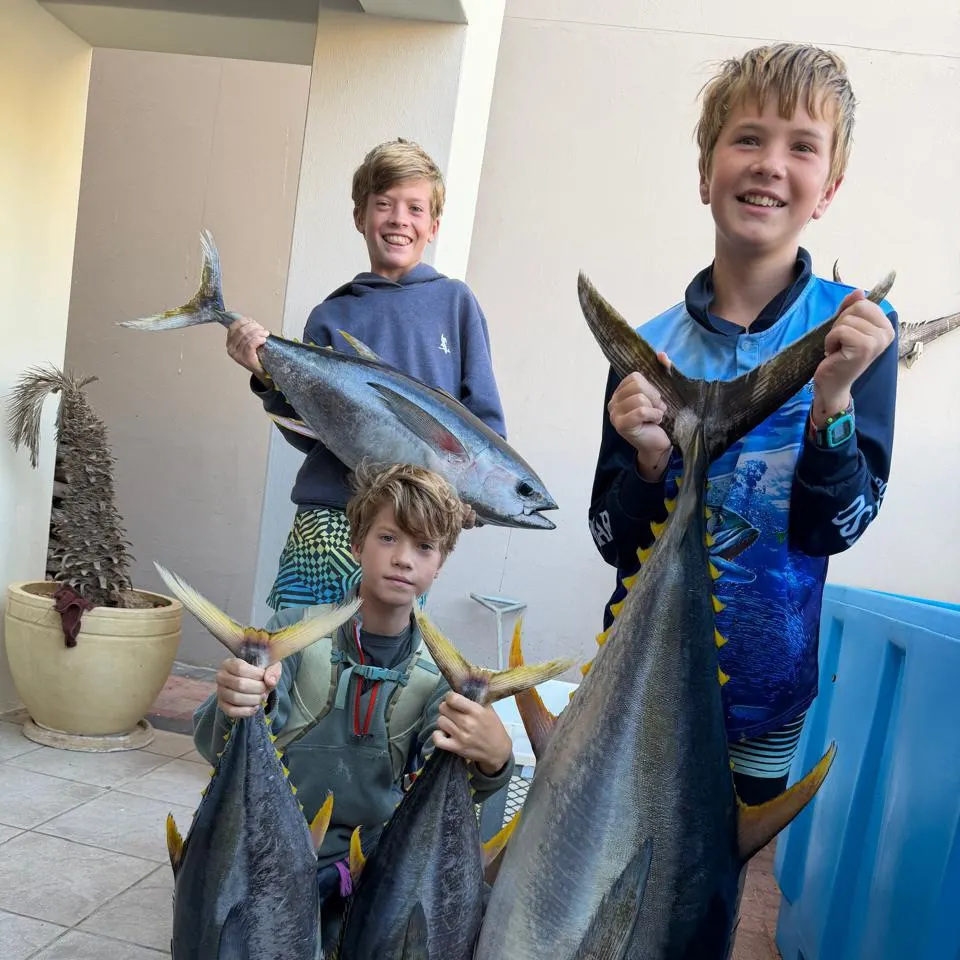 The most recent Yellowfin tuna catches on Fishbrain
