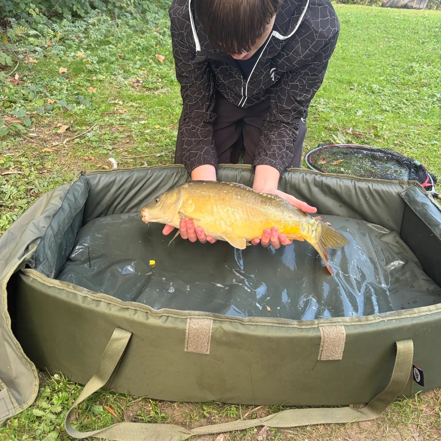 The most recent Leather carp catches on Fishbrain