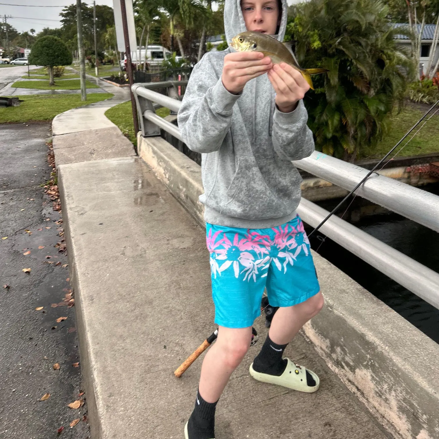 The most recent Crevalle jack catches on Fishbrain