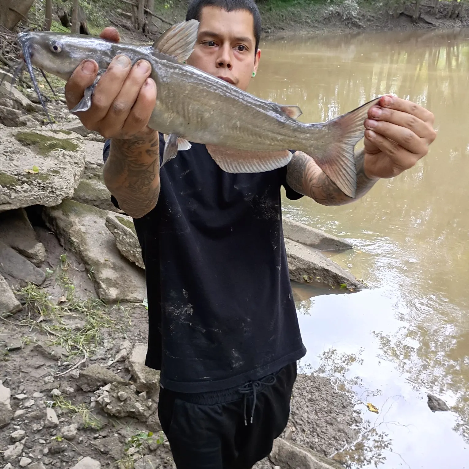 Channel catfish caught on Fishbrain