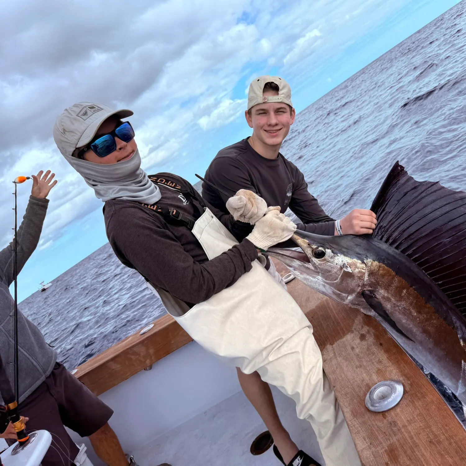 The most recent Atlantic sailfish catches on Fishbrain