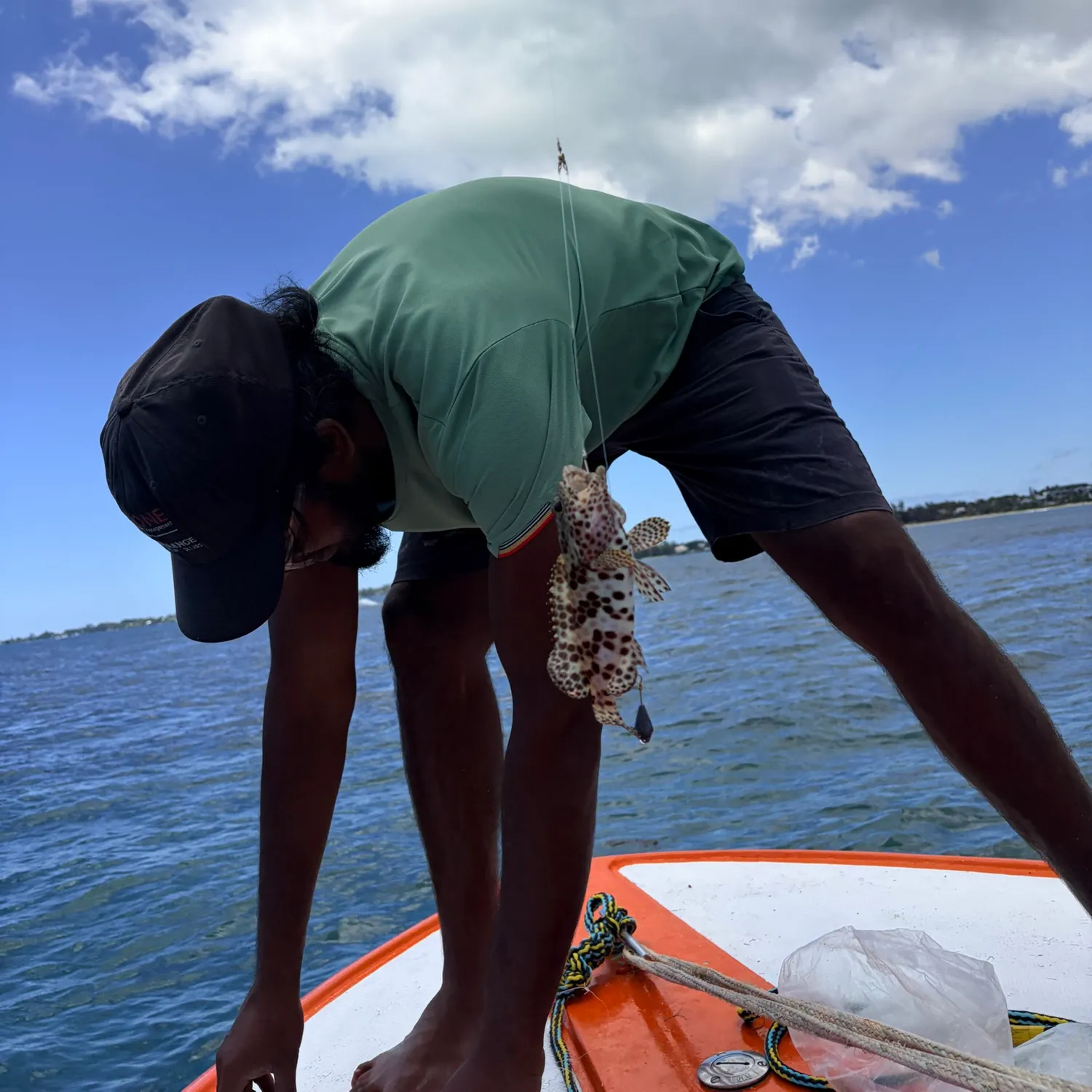 Honeycomb grouper caught on Fishbrain