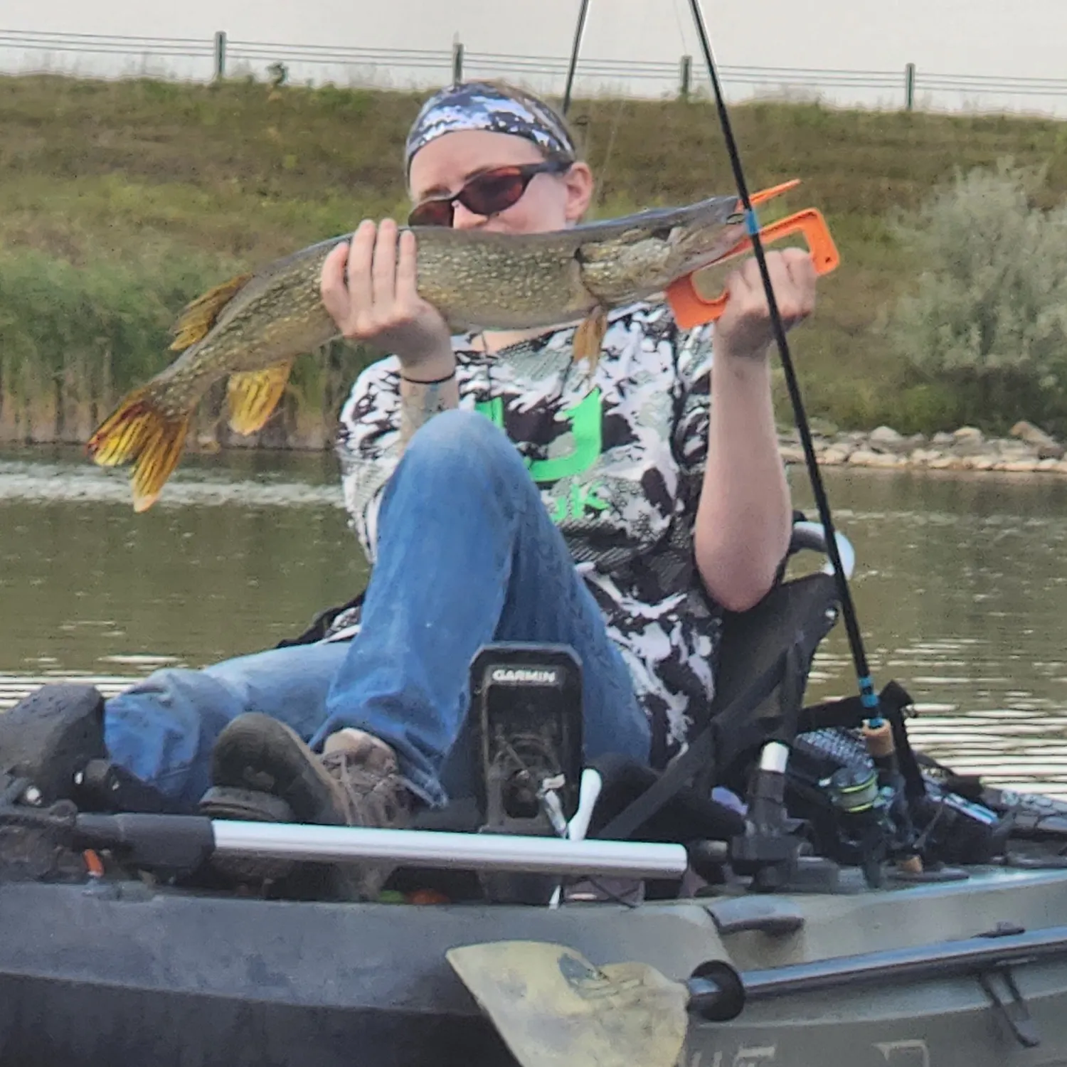 Northern pike caught on Fishbrain